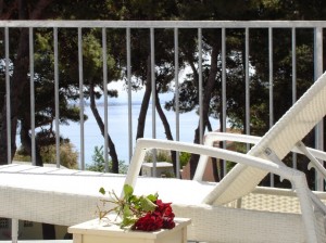 Penthouse with sea view Punta,Dalmatia,Croatia